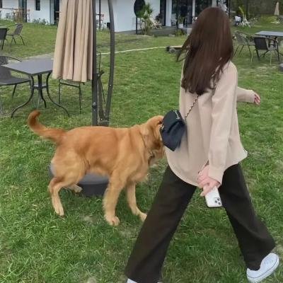 耶稣传